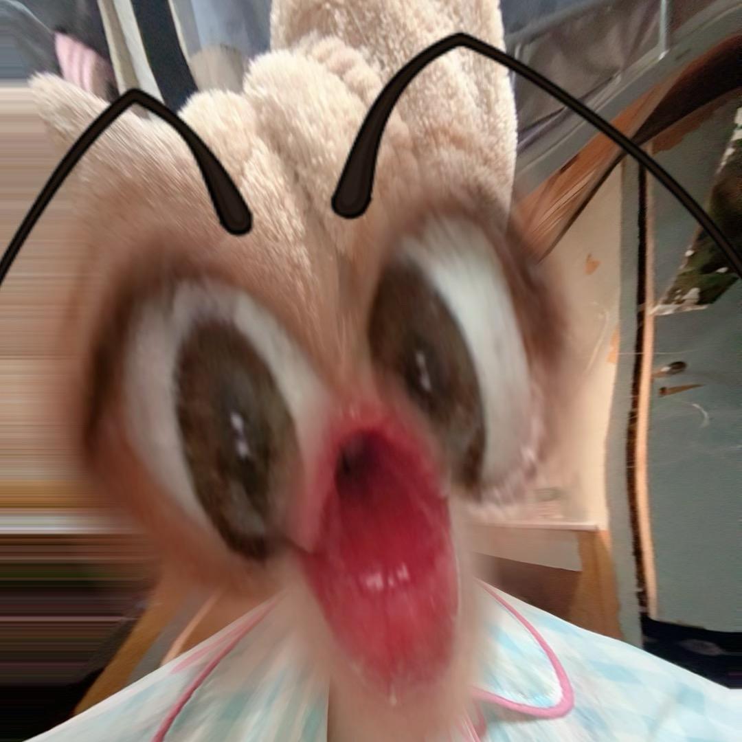 Nnnnnn