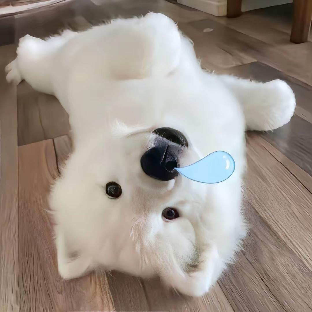 海里看电影