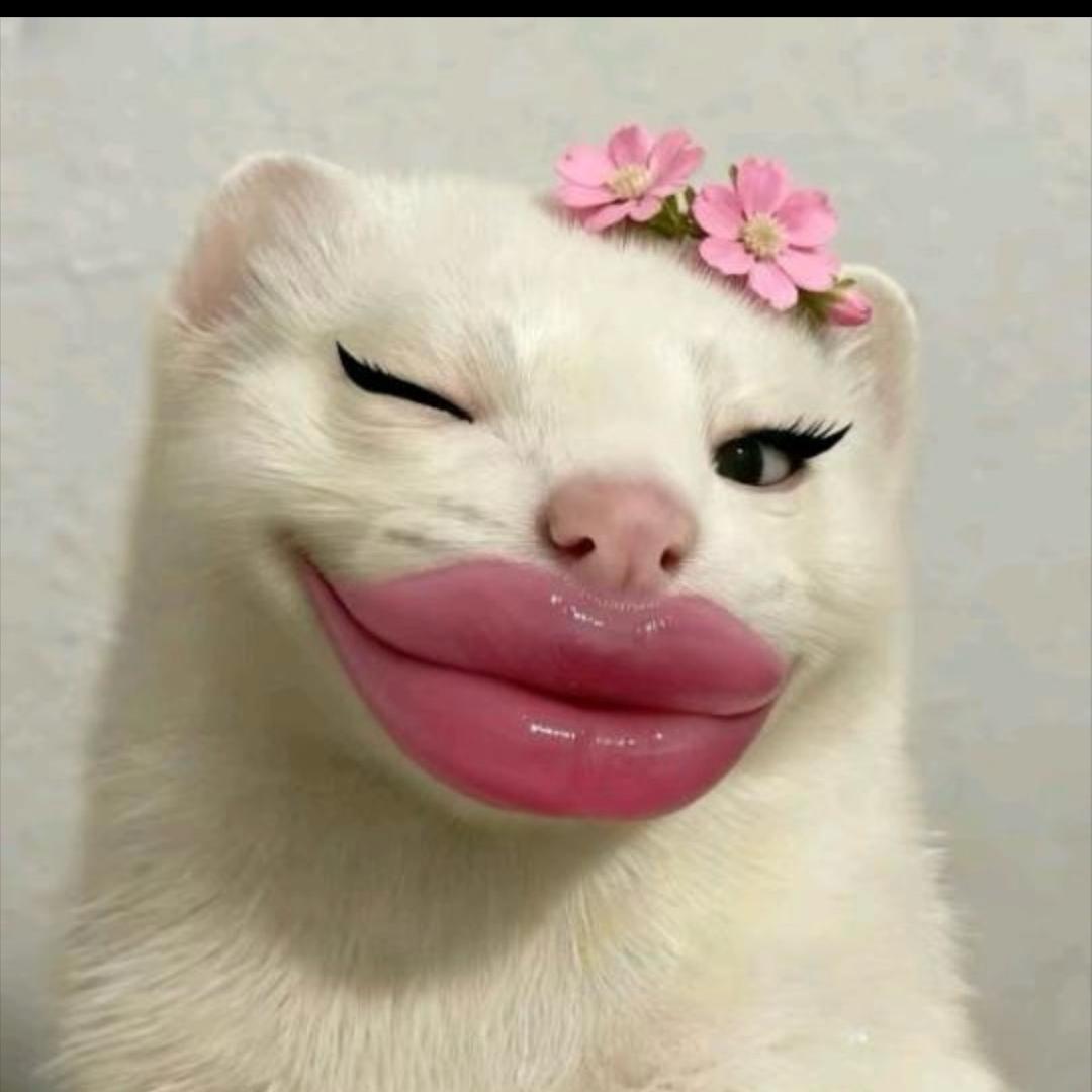 吃土豆长大的马铃薯◔.̮◔✧