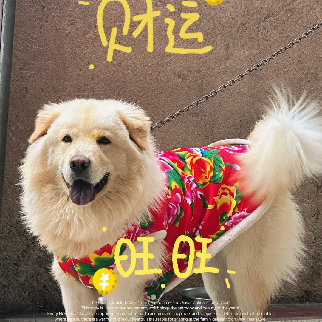 旺旺小福星🌟