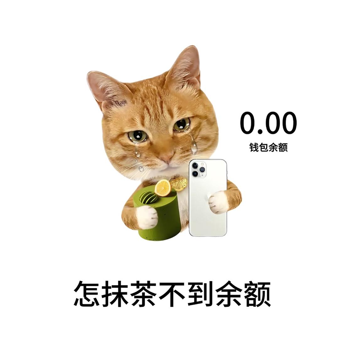 抹茶狂热粉丝