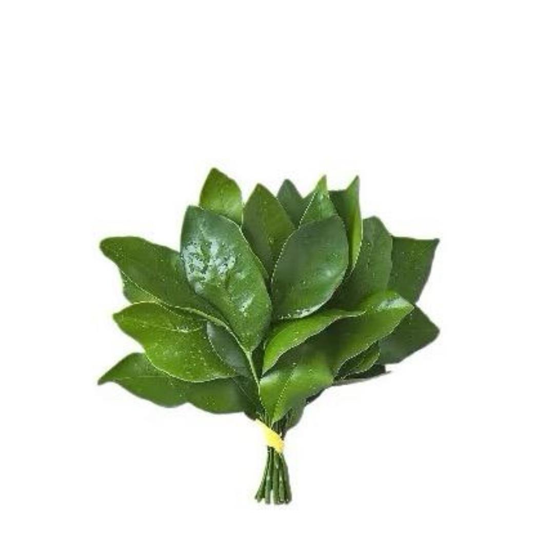 豆鲨包