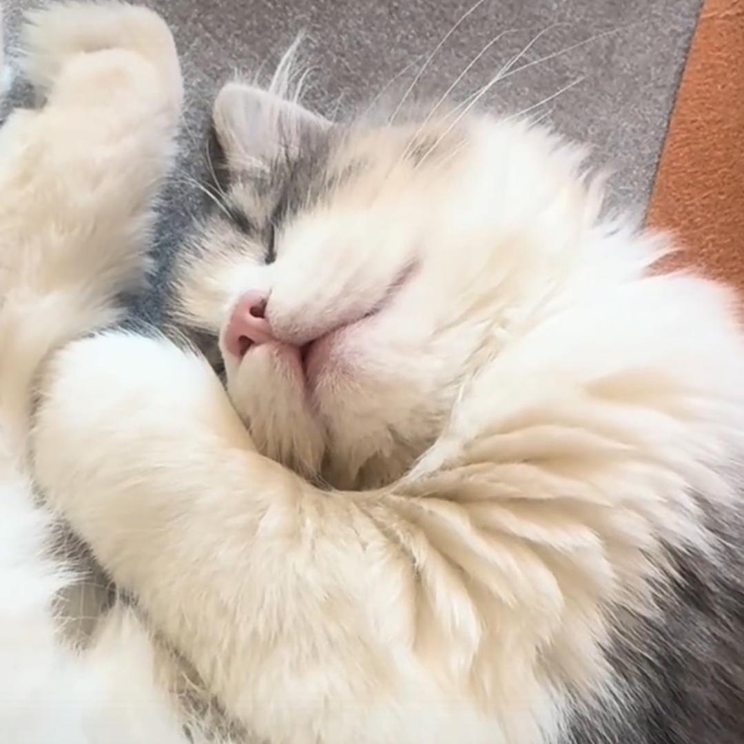 吴大花