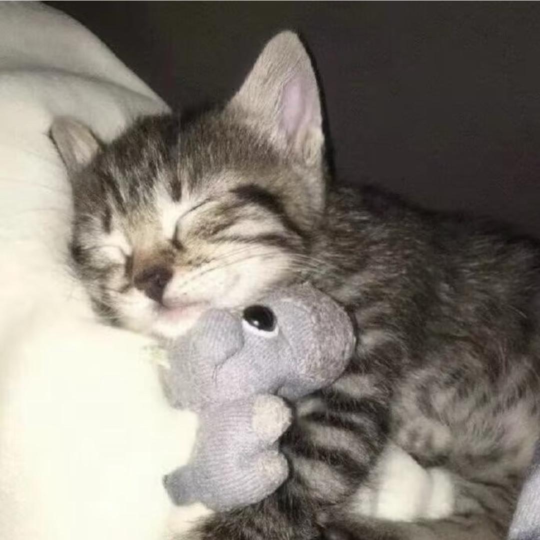 Eeeeee