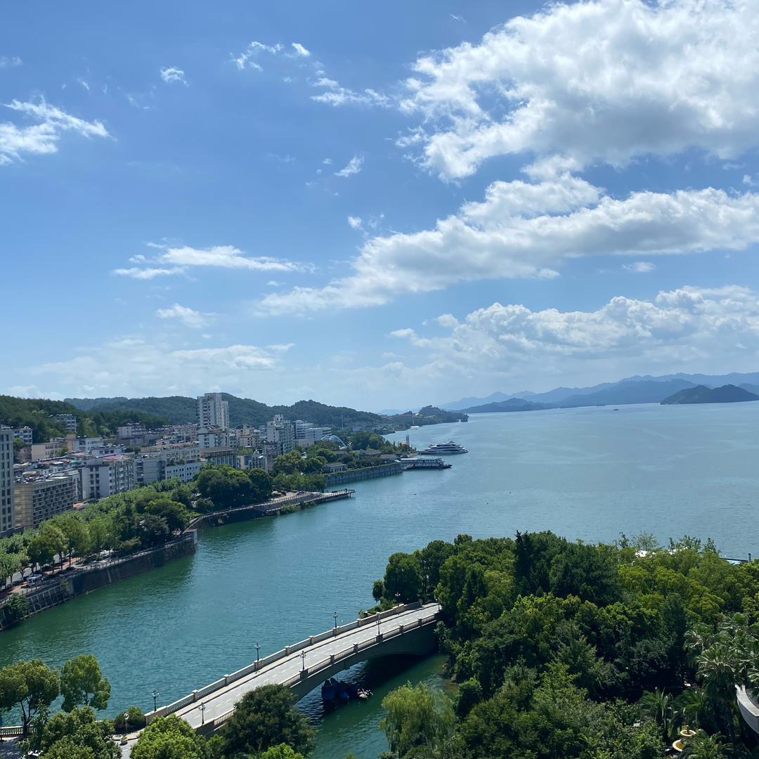 李指导