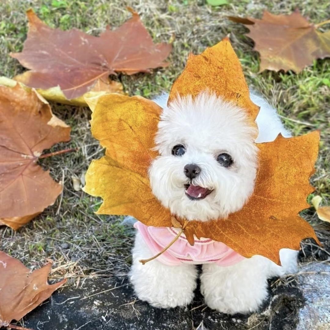 **█▄▀▓* ☺ ☻ ☼ ♪ ♫ ♥