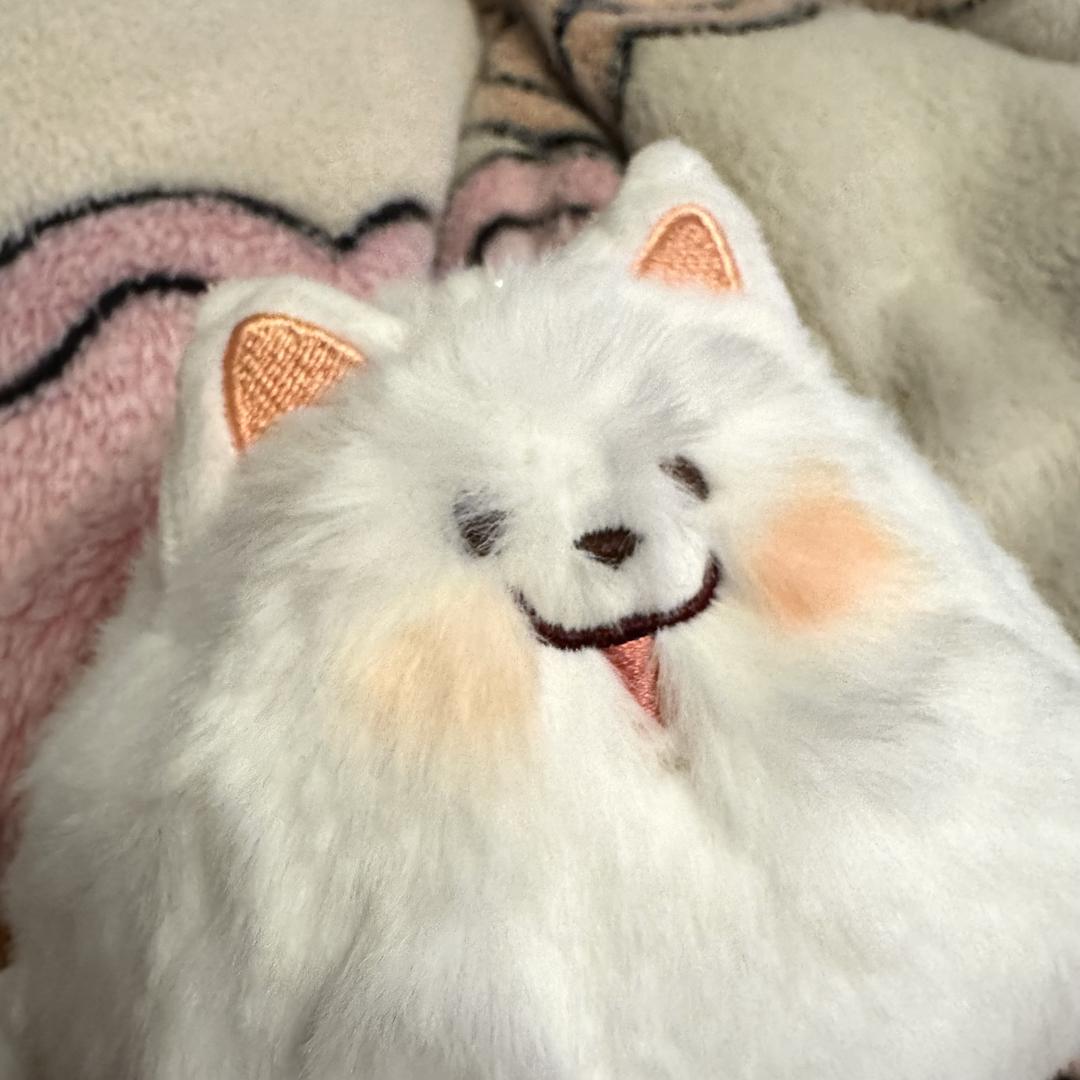 栀栀早点睡OvO
