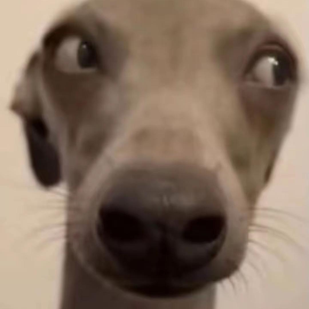 …….