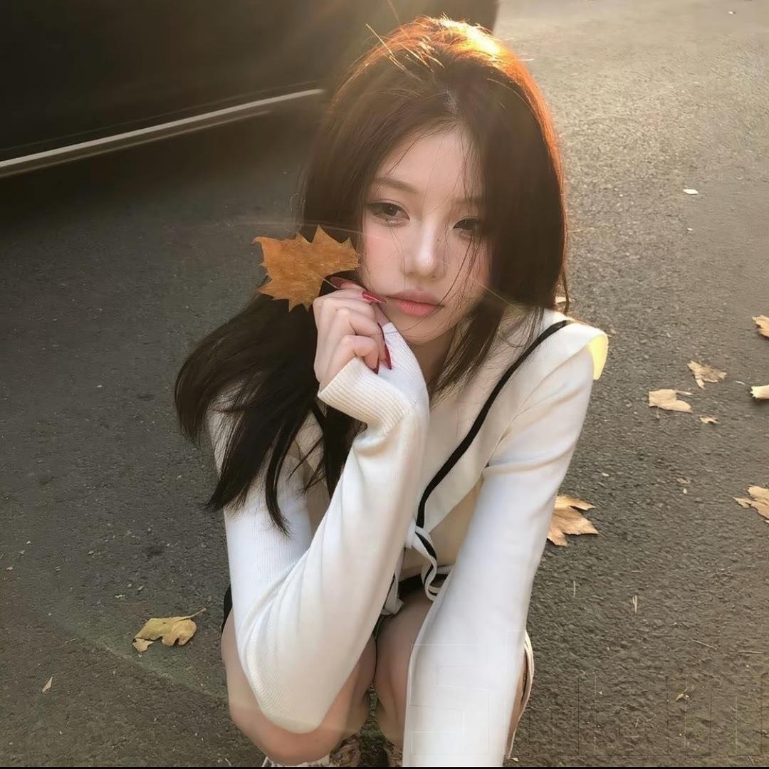 爱睡觉的加菲猫