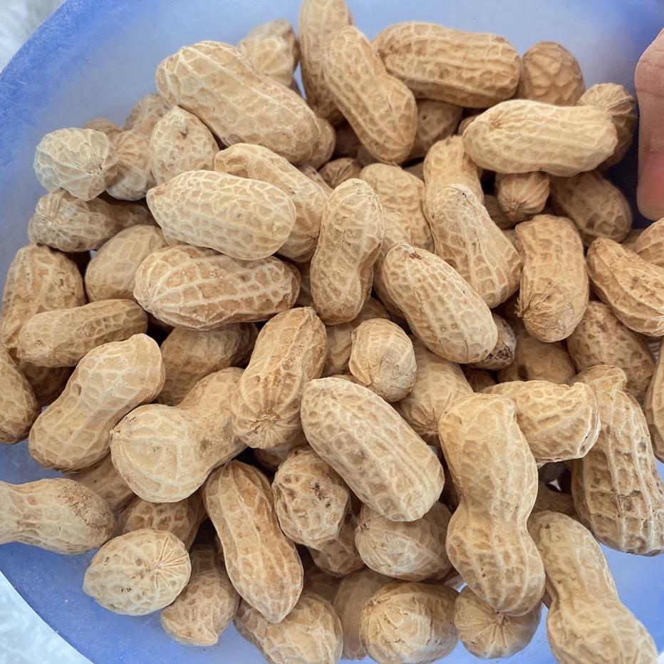 小小特产