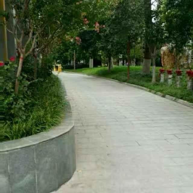 河南飞翔8576