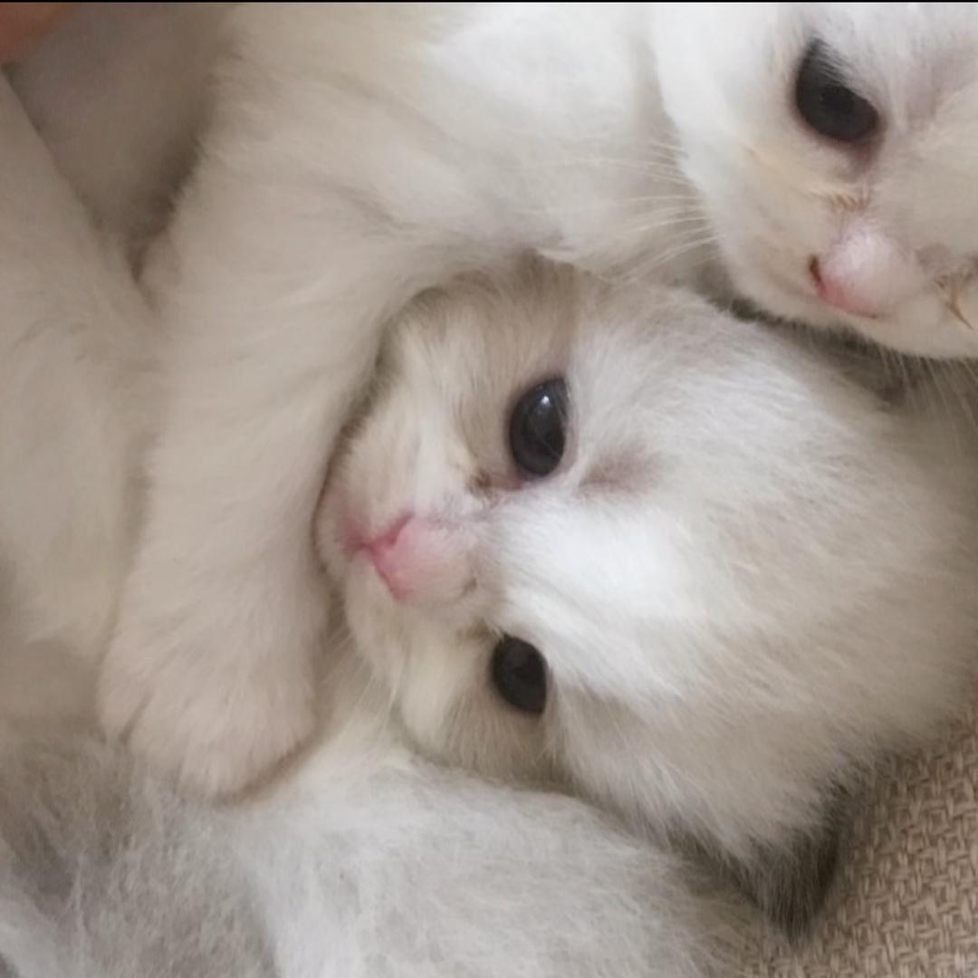 困了