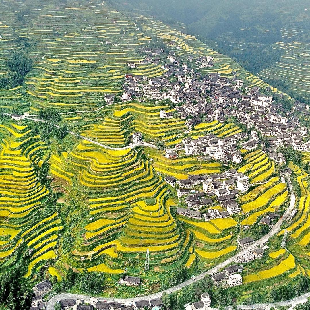贵州开屯梯田