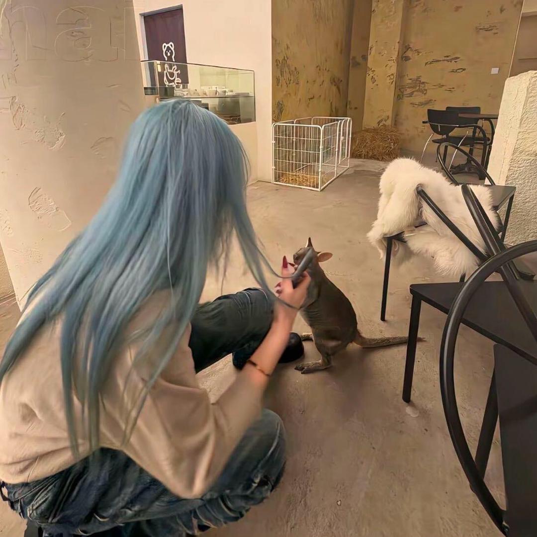 畅畅呀