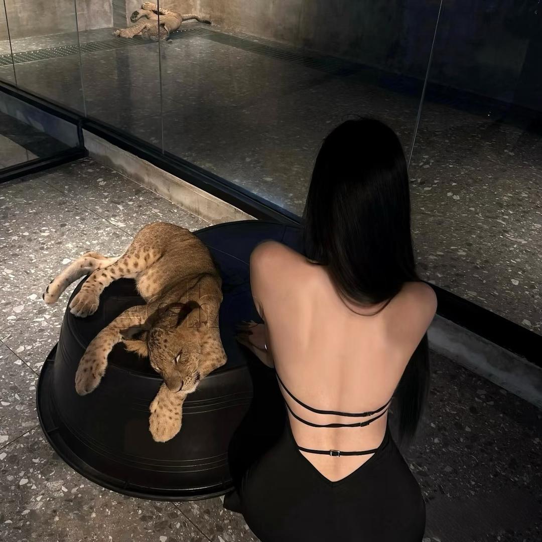 十八