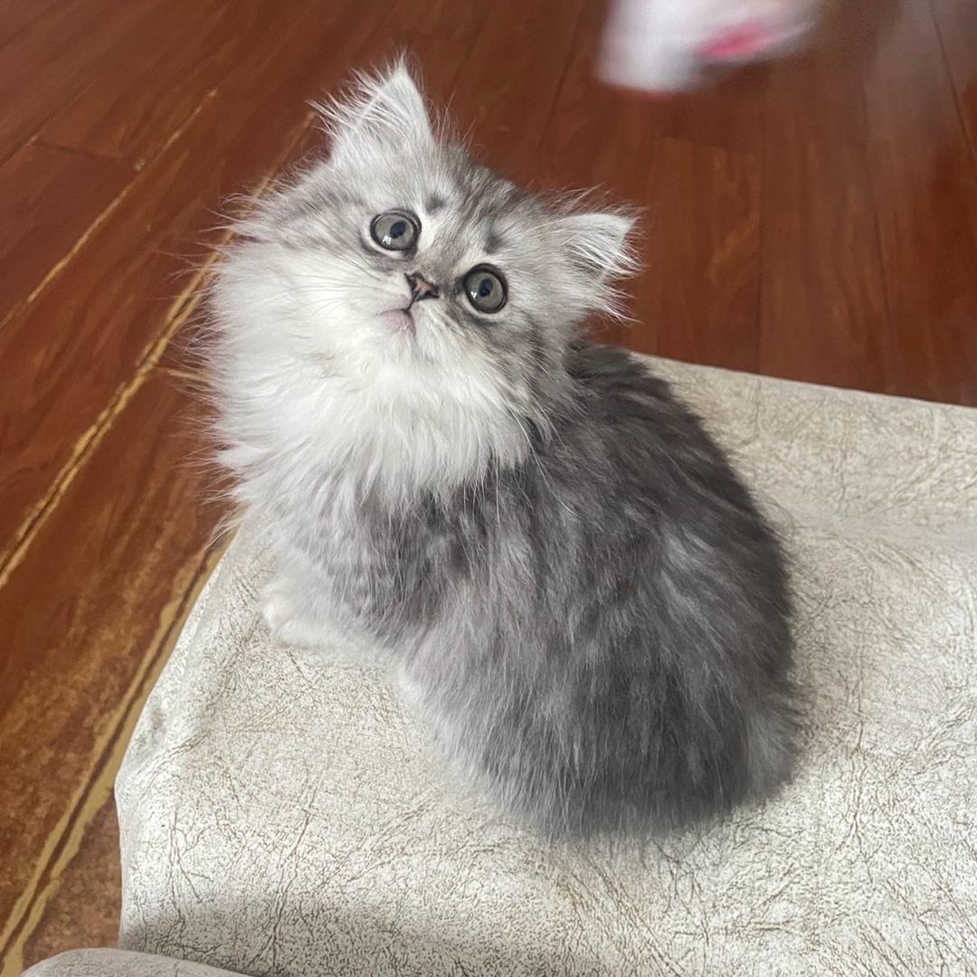 KIKI