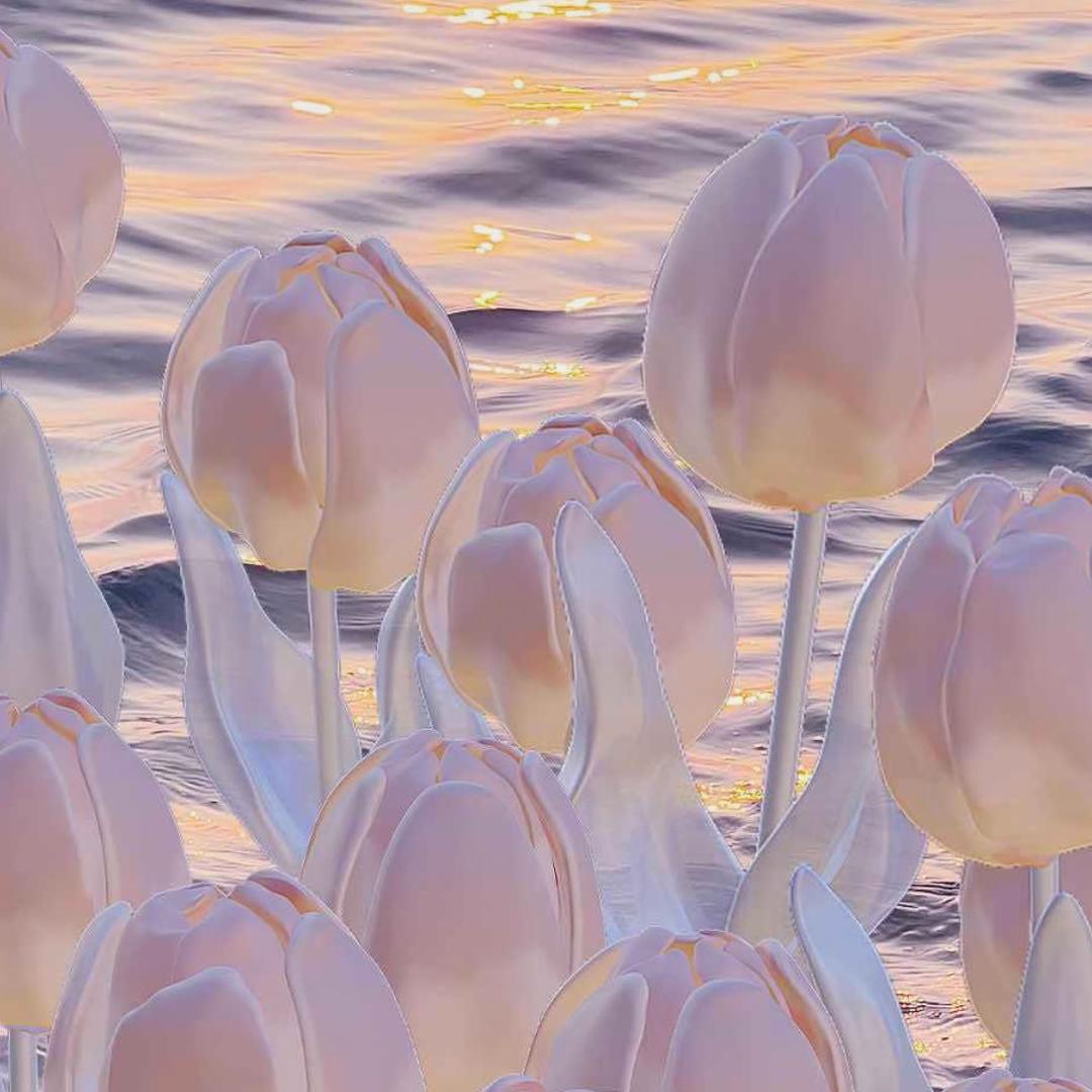 阳光🌞
