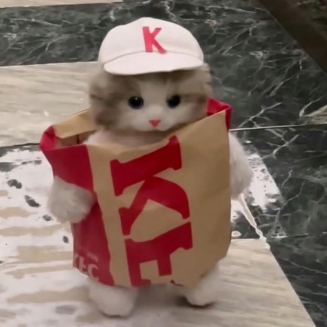 小仙崽子