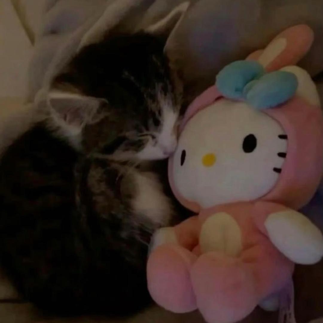 奶油火鸡面de爸爸.