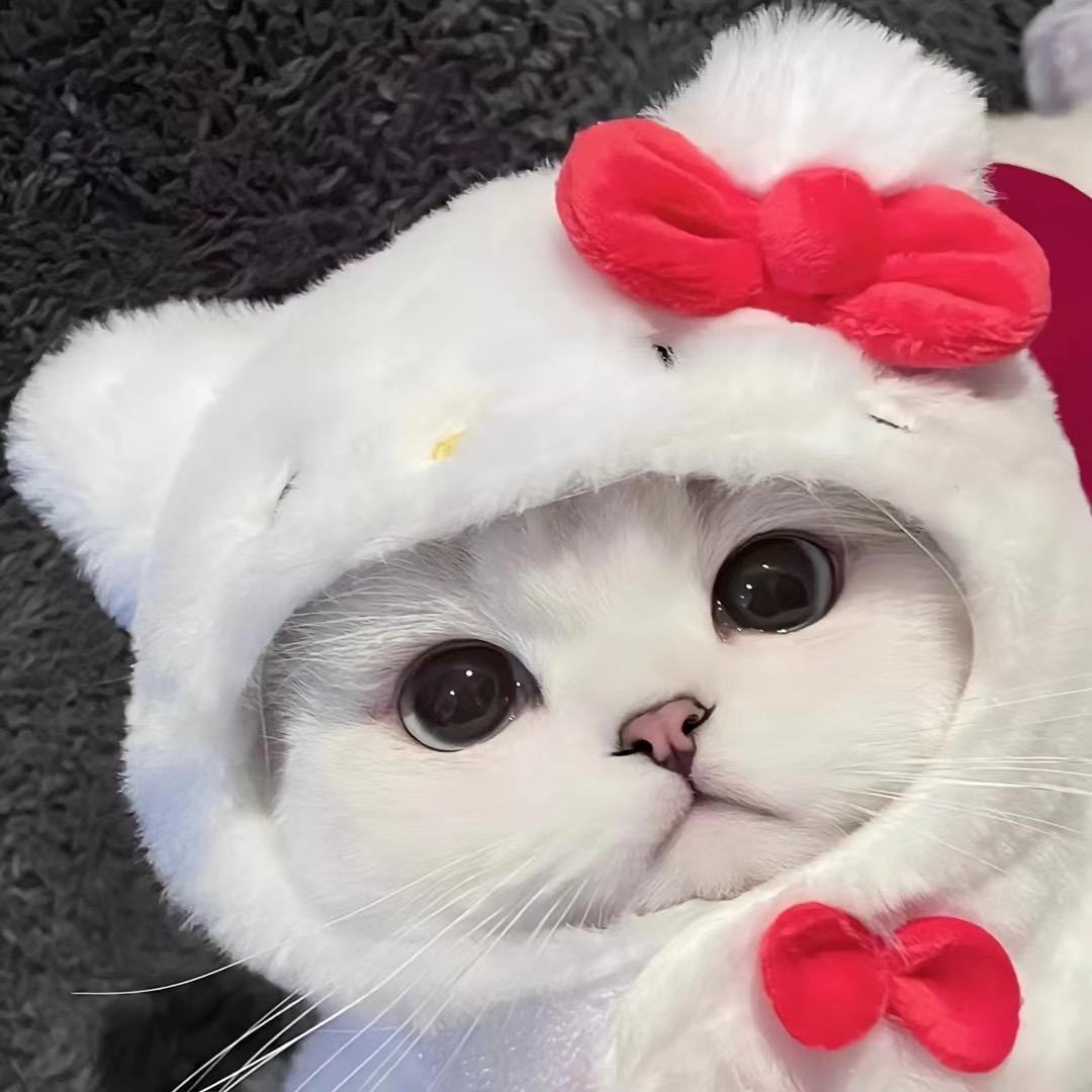 能否