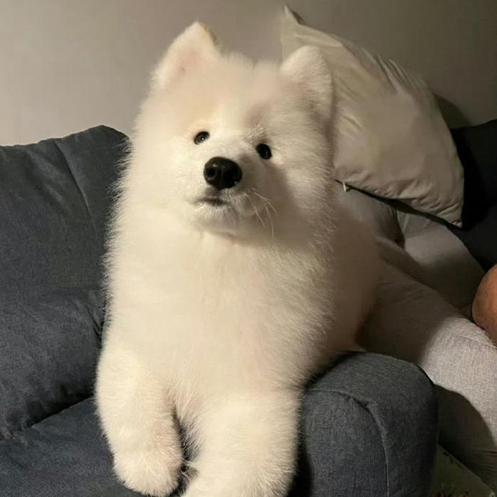 北落