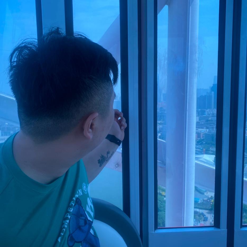 白茶依旧