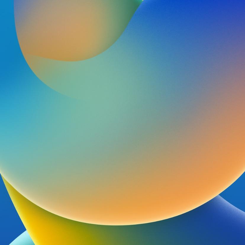 81375842527