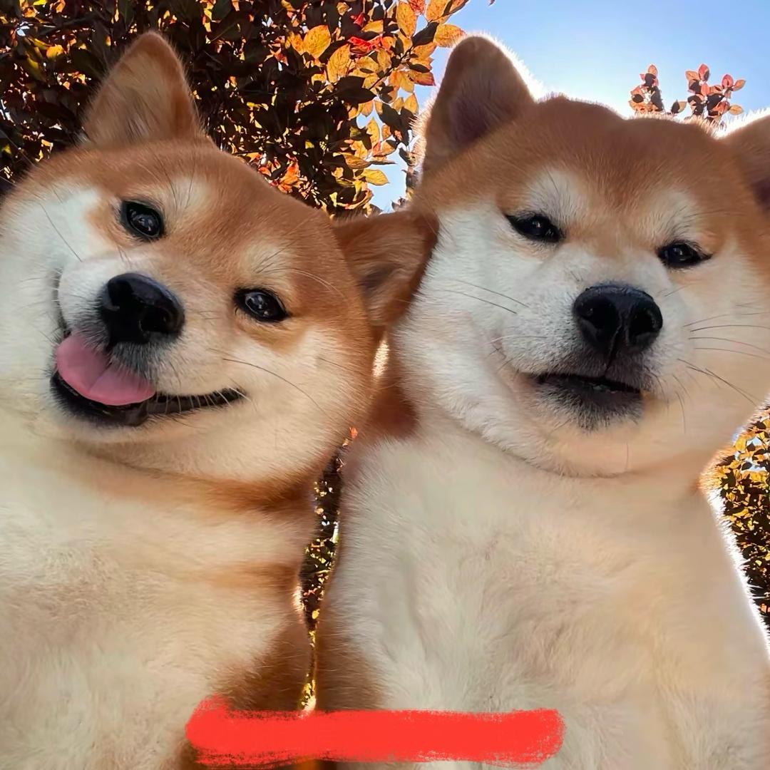 💋💋随遇而安💅💅