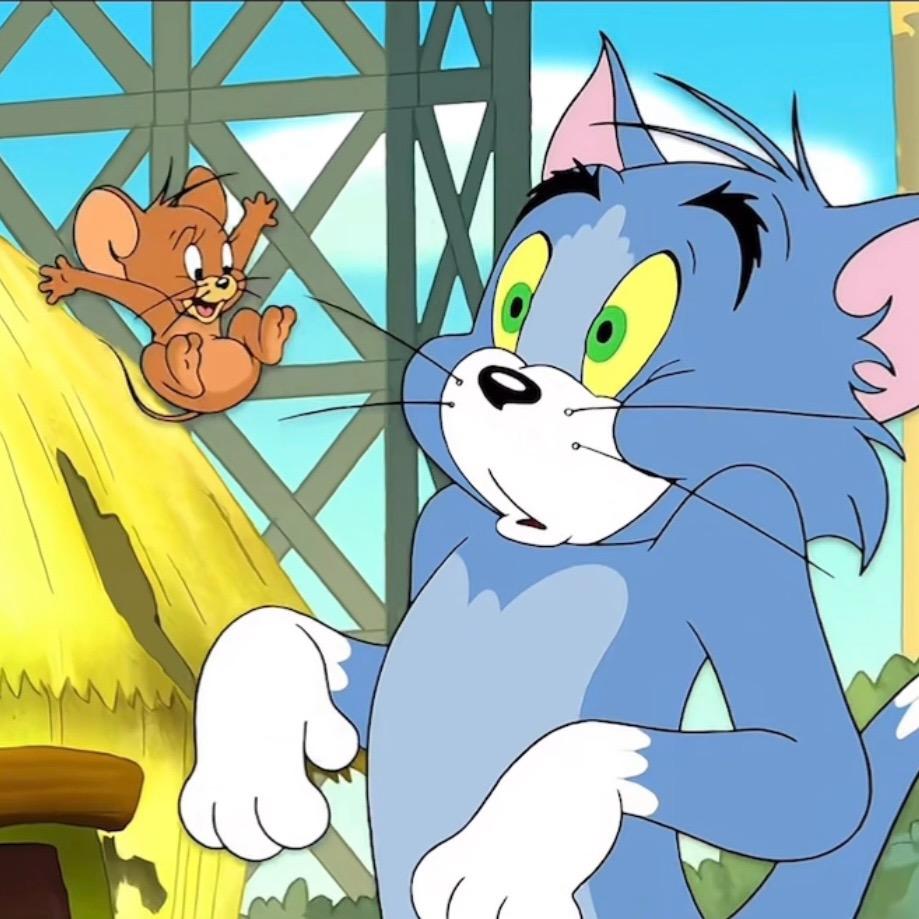 猫🐈和老鼠🐭