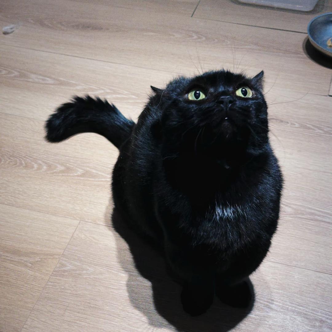 顺心顺意诸事顺