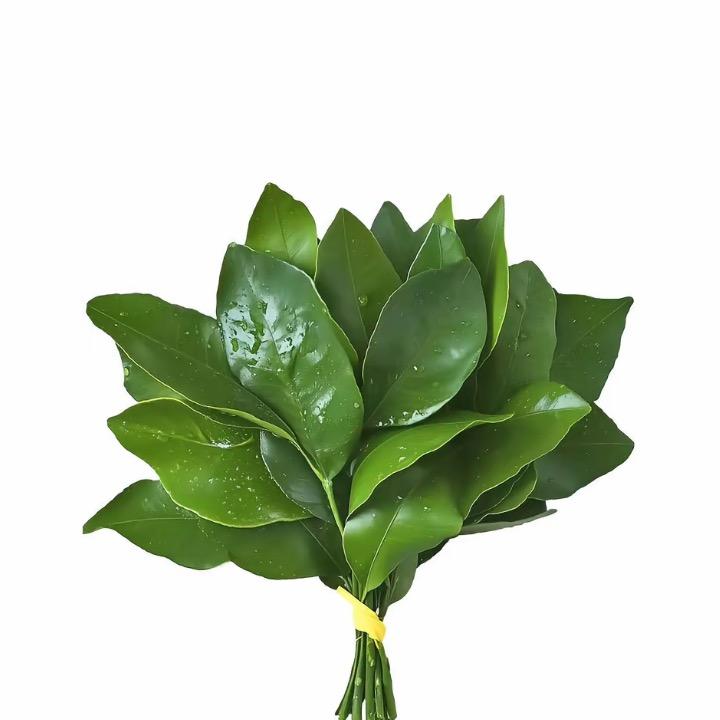 婷，