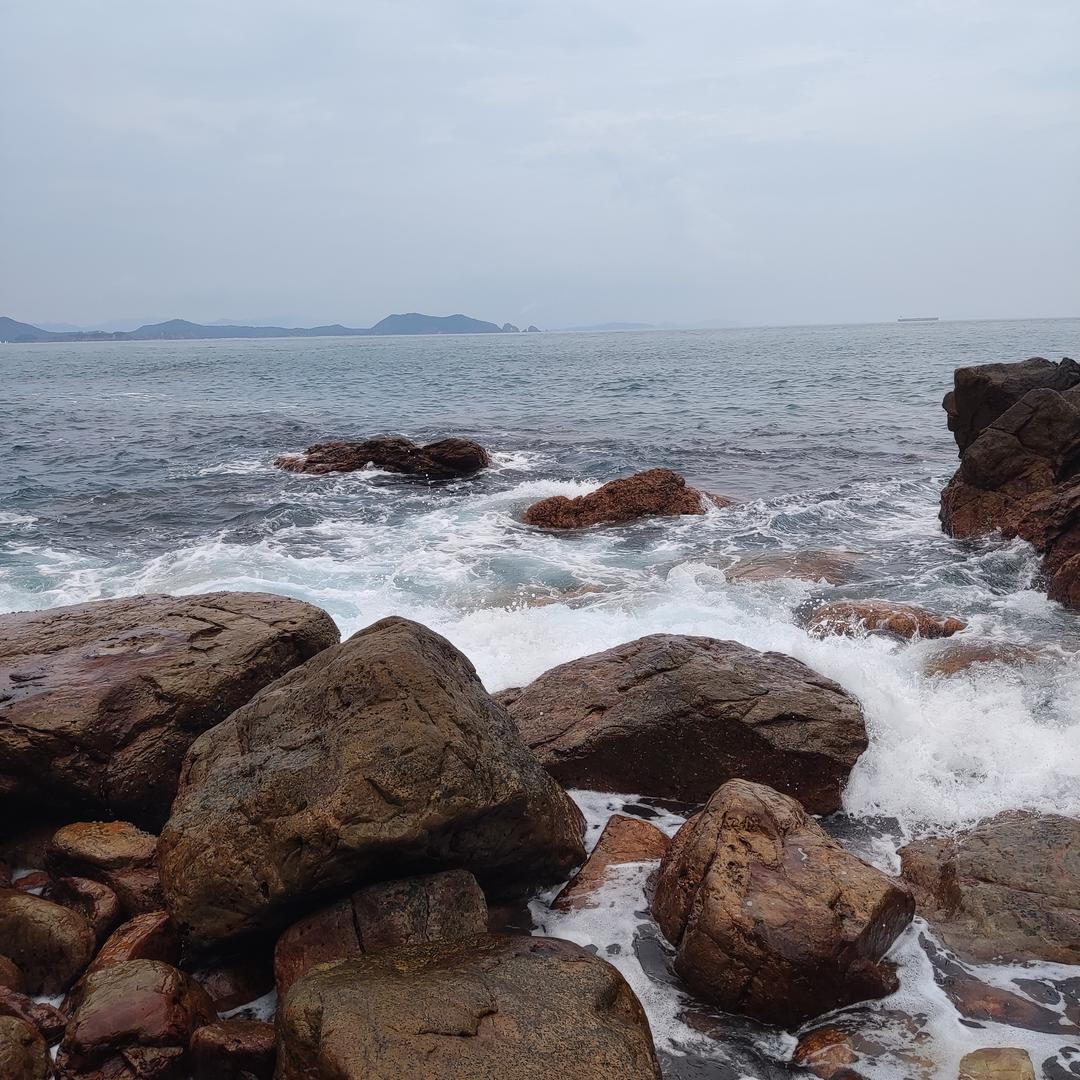 劉劉