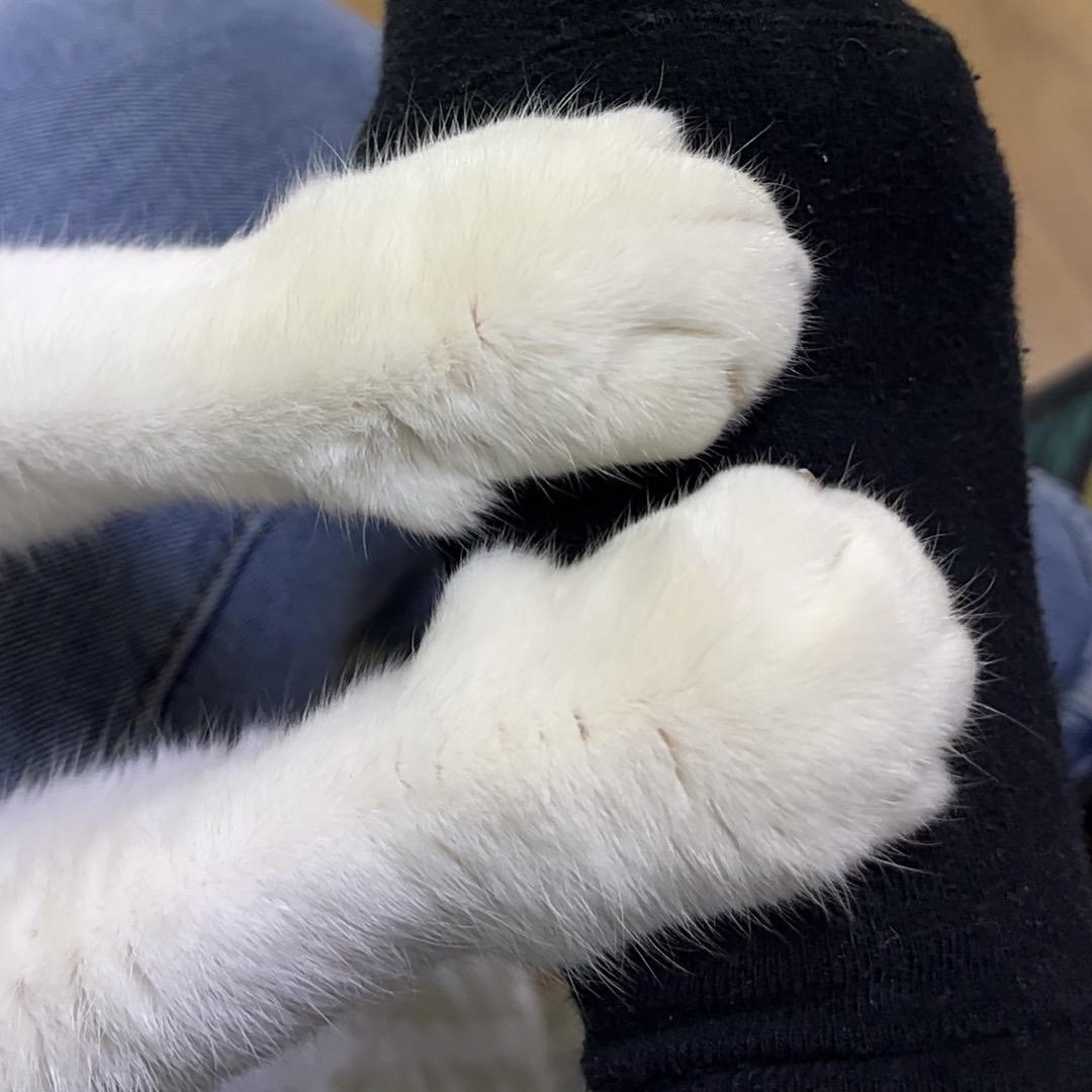 我有一个世界