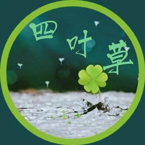 🍀四叶草🍀