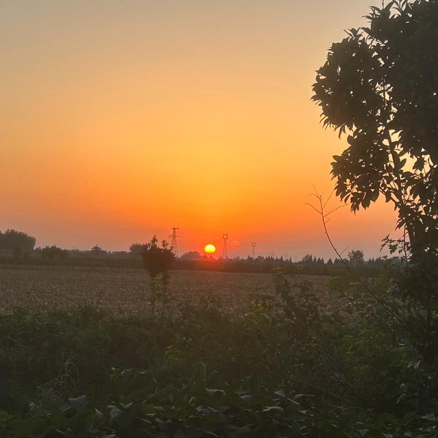 荆楚云农经营部