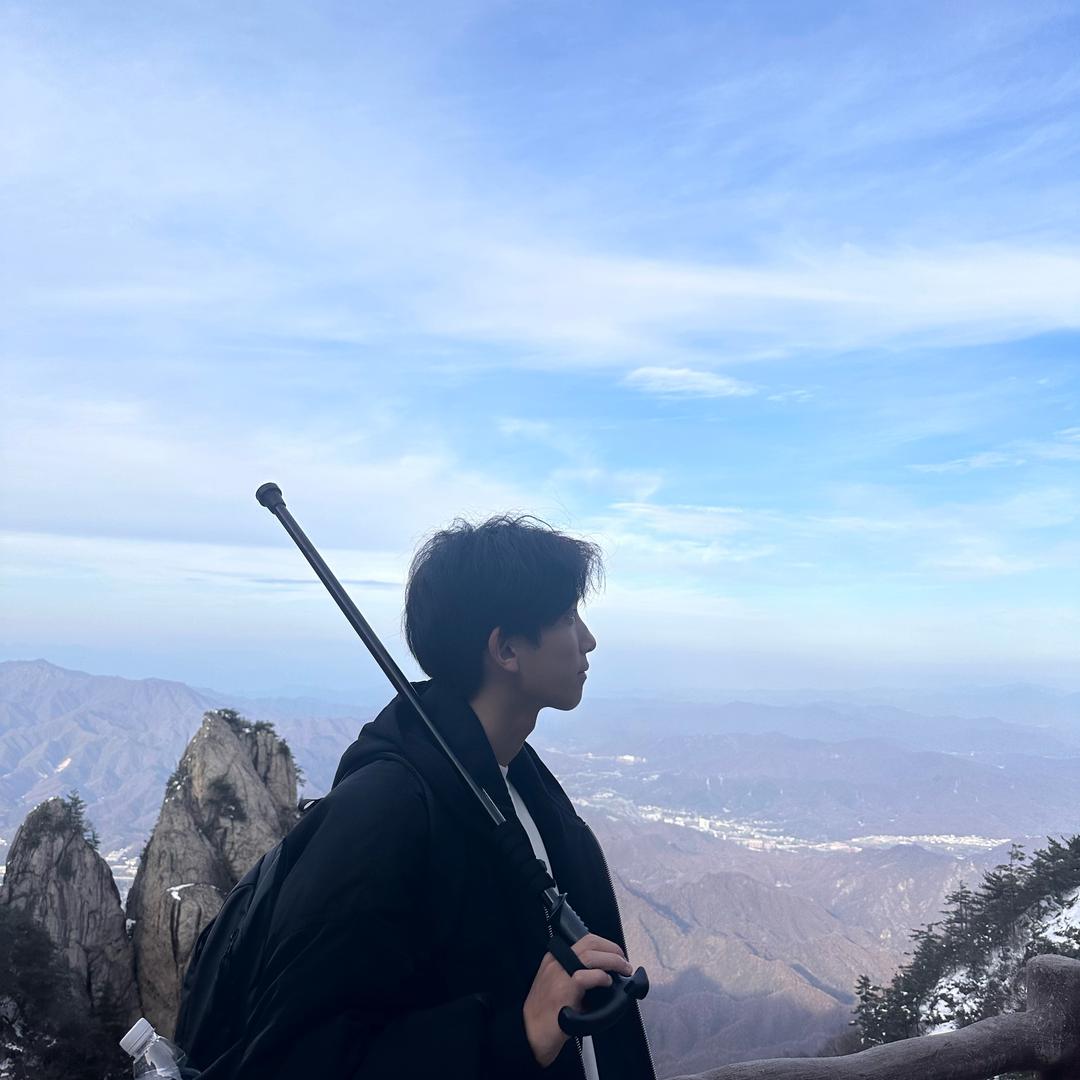 托理黎