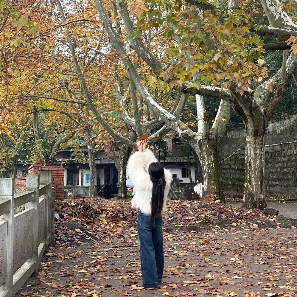 小许🍂许个愿