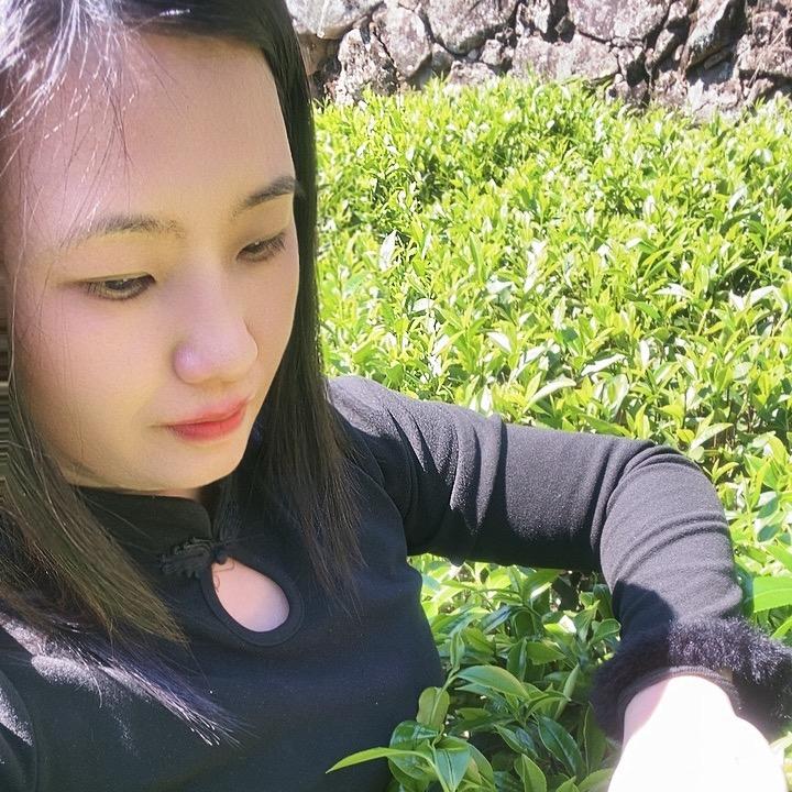 潮航单枞茶