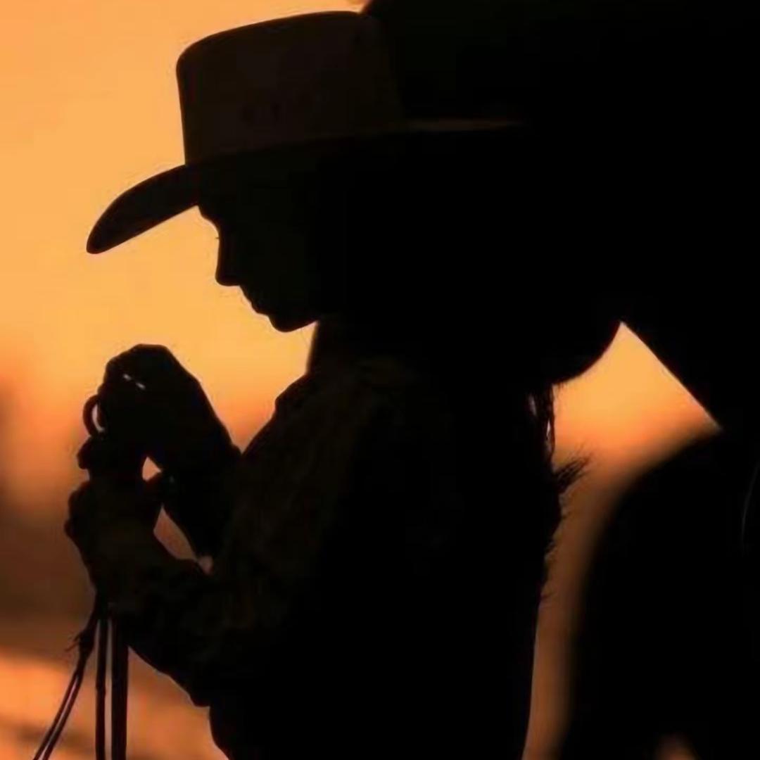 仟骏竟技马房 马术用品