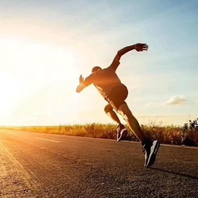 爱与诚-信诚园艺