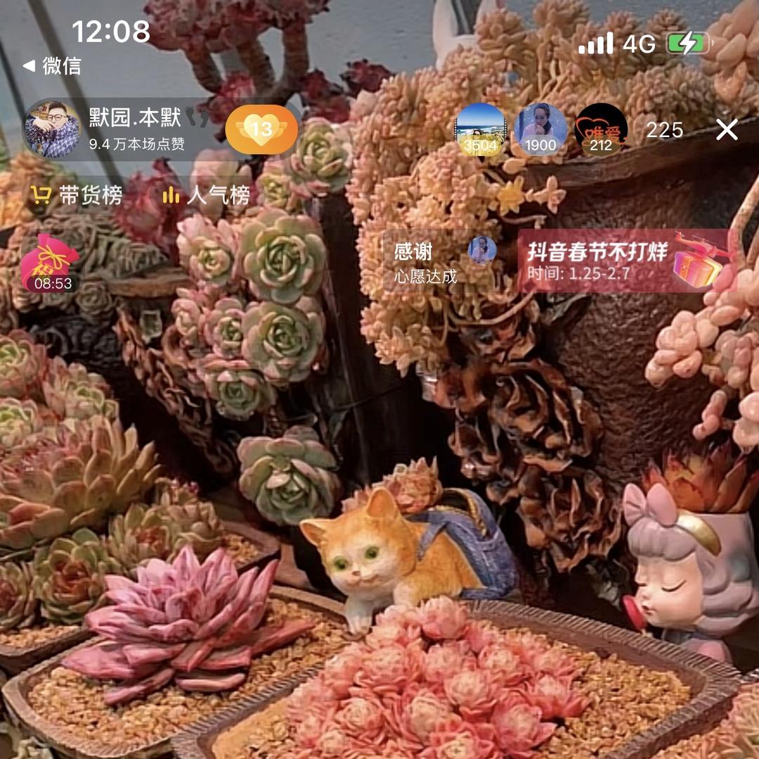 植诺园艺多肉绿植花盆