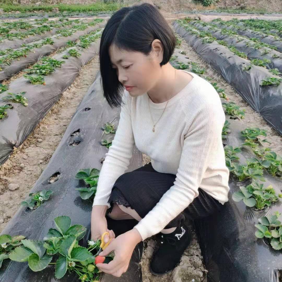 玉米（木子李）