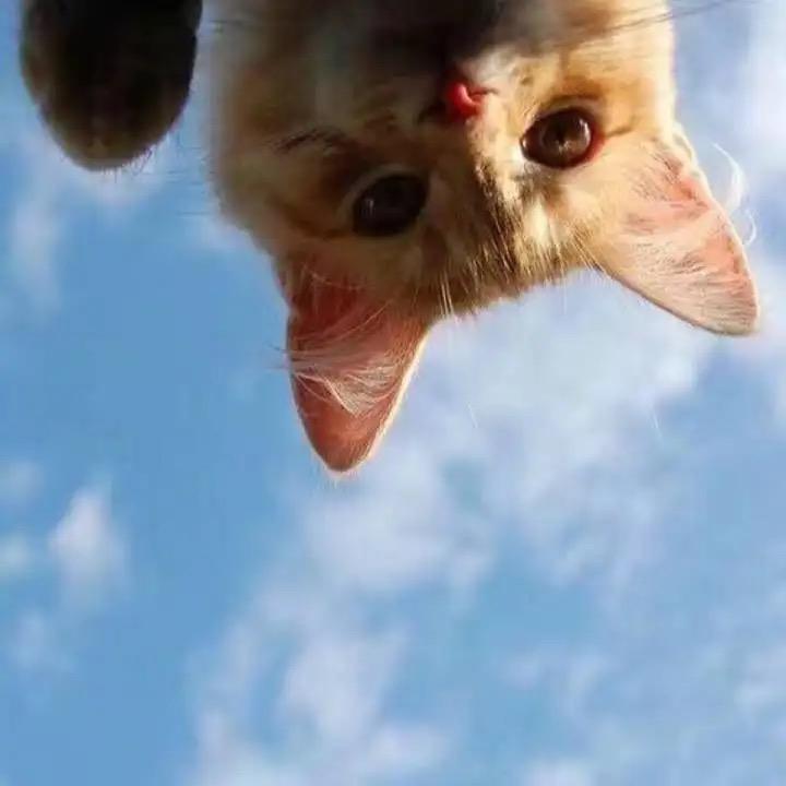 拾叁diy手作（接单版）