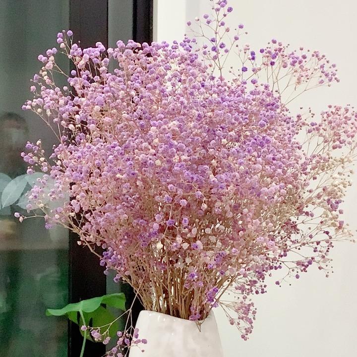 人生就是一场梦