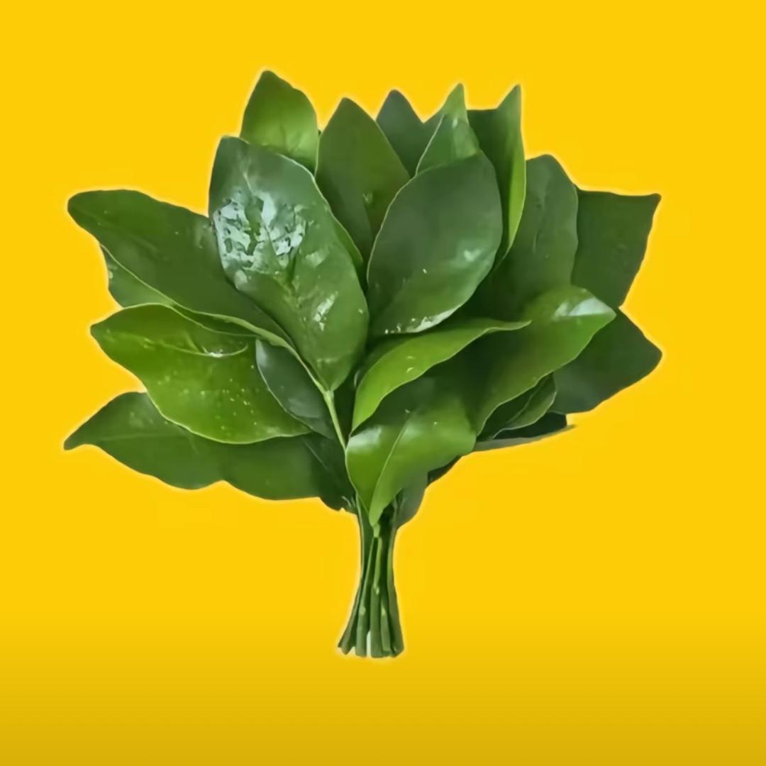 每天坚持用砂纸打磨皮燕子锻炼括约肌咬合力