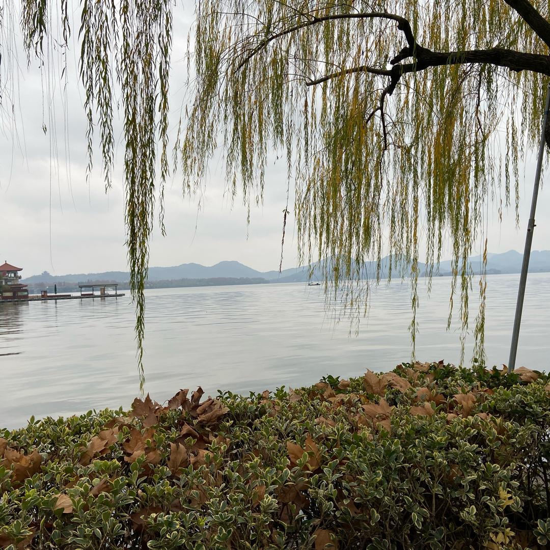 油彩