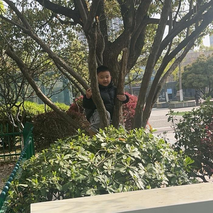 和平码头鱼馆儿