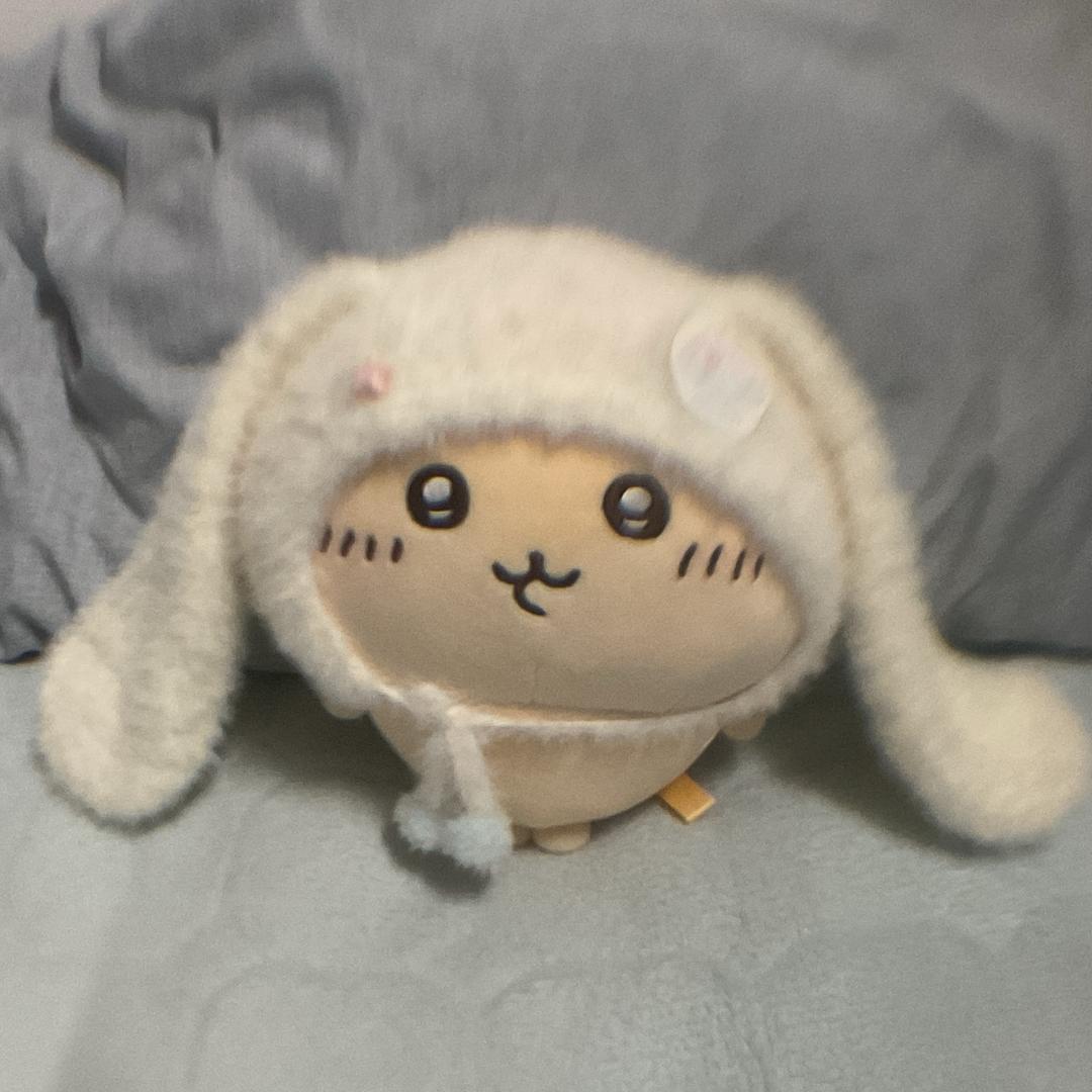 捡来的乌萨奇怎么一直叫