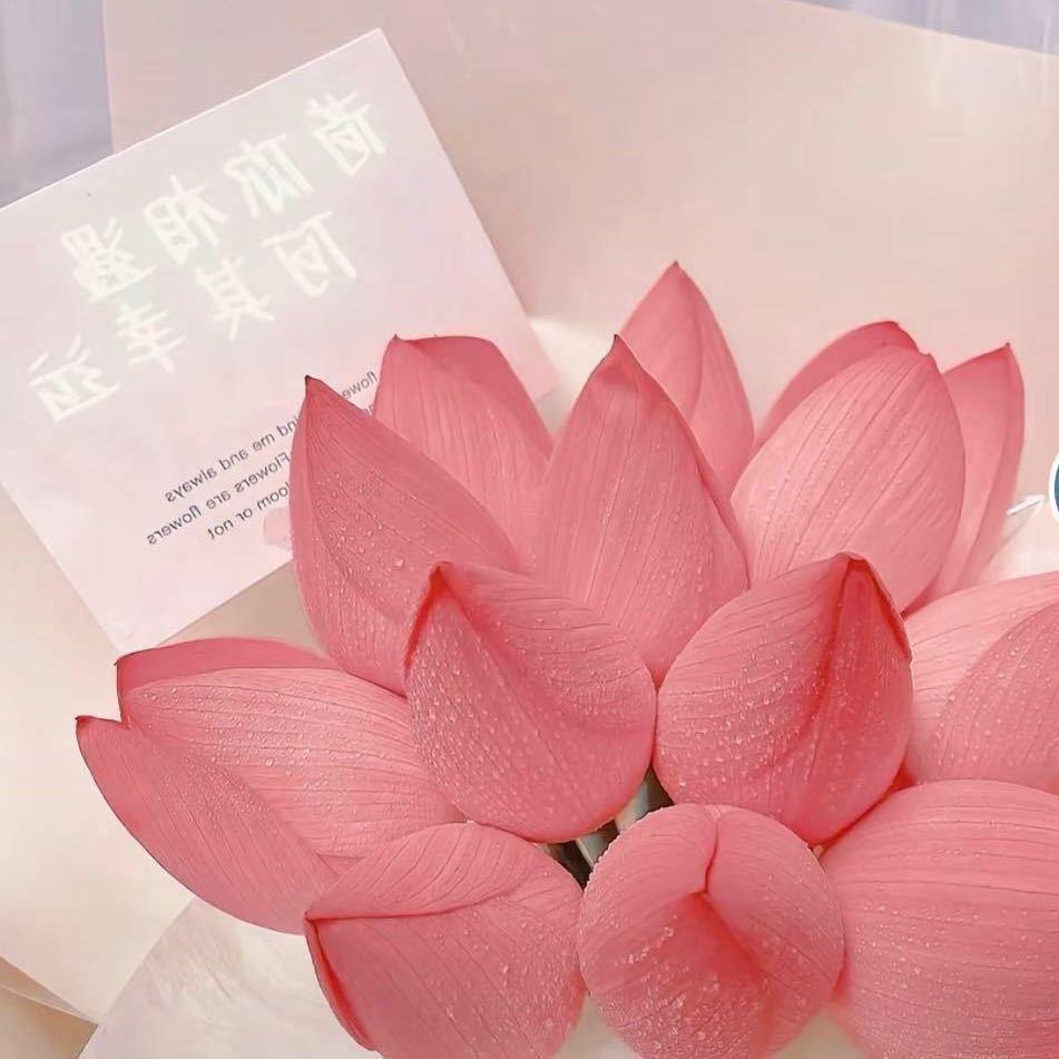 🌈  乖宝宝、、、🌸