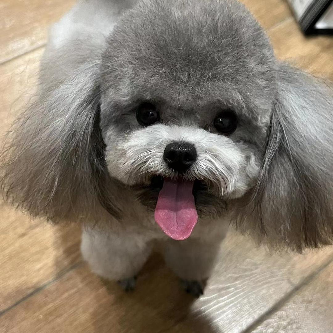 小小 米粒